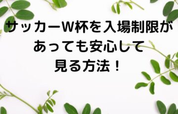 サッカーW杯を入場制限があっても安心して見る方法！