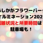 あしかがフラワーパークイルミネーション2022混雑状況と所要時間は？駐車場も！
