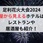 足利花火大会2024部屋から見えるホテルは？レストランや居酒屋も紹介！