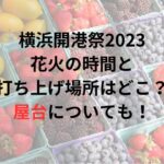 横浜開港祭2023花火の時間と打ち上げ場所はどこ？屋台についても！