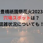 豊橋祇園祭花火2023穴場スポットは？混雑状況についても！