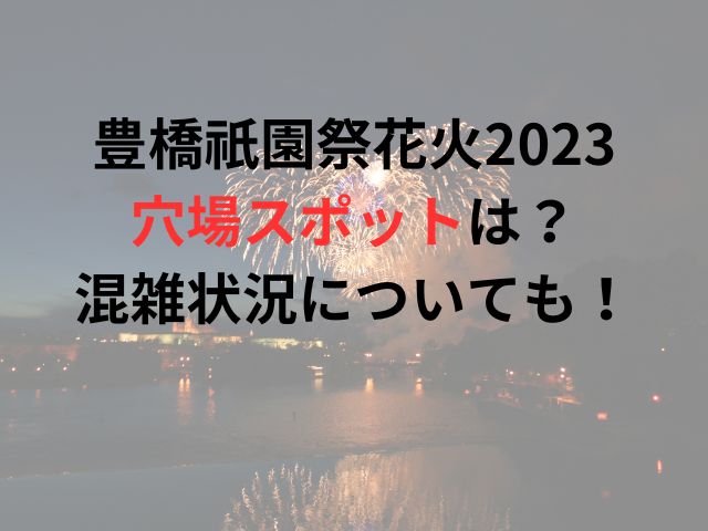 豊橋祇園祭花火2023穴場スポットは？混雑状況についても！