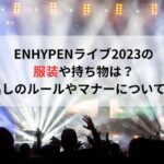 ENHYPENライブ2023の服装や持ち物は？声出しのルールやマナーについても！