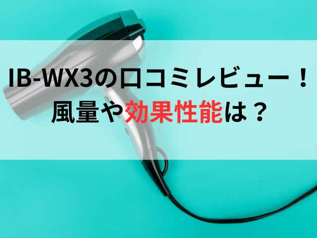 IB-WX3の口コミレビュー！風量や効果性能は？