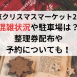 東京クリスマスマーケット2024混雑状況や駐車場は？整理券配布や予約についても！