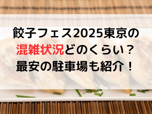 餃子フェス2025東京の混雑状況どのくらい？最安駐車場も紹介！
