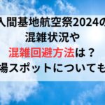 入間基地航空祭2024の混雑状況や混雑回避方法は？穴場スポットについても！