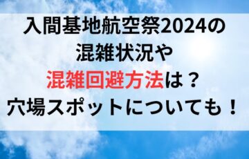 入間基地航空祭2024の混雑状況や混雑回避方法は？穴場スポットについても！