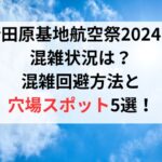 新田原基地航空祭2024の混雑状況は？混雑回避方法と穴場スポット5選！