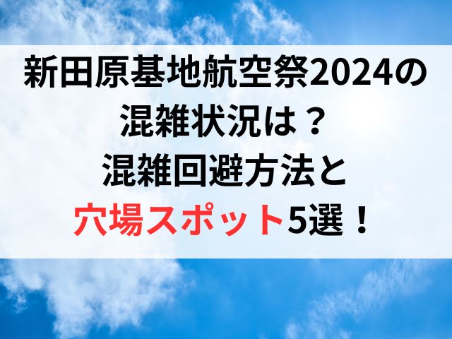 新田原基地航空祭2024の混雑状況は？混雑回避方法と穴場スポット5選！