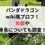 パンダドラゴンwiki風プロフ！年齢や身長についても調査！