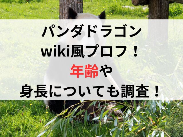 パンダドラゴンwiki風プロフ！年齢や身長についても調査！