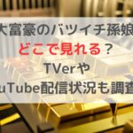 大富豪のバツイチ孫娘 どこで見れる？TVerやYouTube配信状況も調査！