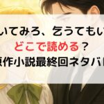 【泣いてみろ乞うてもいい】どこで読める？韓国原作小説最終回ネタバレも！