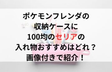 ポケモンフレンダの収納ケースに100均のセリアの入れ物おすすめはどれ？画像付きで紹介！
