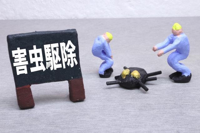失敗しない1ミリくらいの黒い飛ぶ虫の駆除方法と予防策!