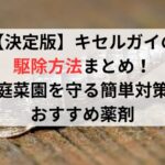 【決定版】キセルガイの駆除方法まとめ！家庭菜園を守る簡単対策＆おすすめ薬剤