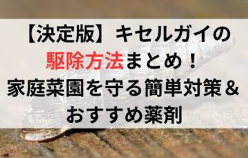 【決定版】キセルガイの駆除方法まとめ！家庭菜園を守る簡単対策＆おすすめ薬剤