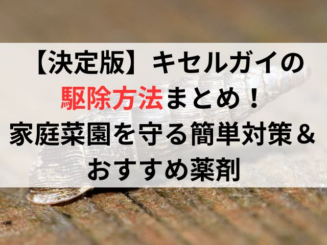 【決定版】キセルガイの駆除方法まとめ！家庭菜園を守る簡単対策＆おすすめ薬剤