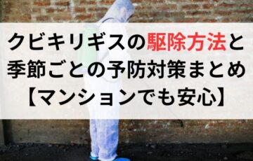 クビキリギスの駆除方法と季節ごとの予防対策まとめ【マンションでも安心】