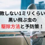 失敗しない1ミリくらいの黒い飛ぶ虫の駆除方法と予防策！