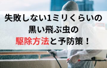 失敗しない1ミリくらいの黒い飛ぶ虫の駆除方法と予防策！