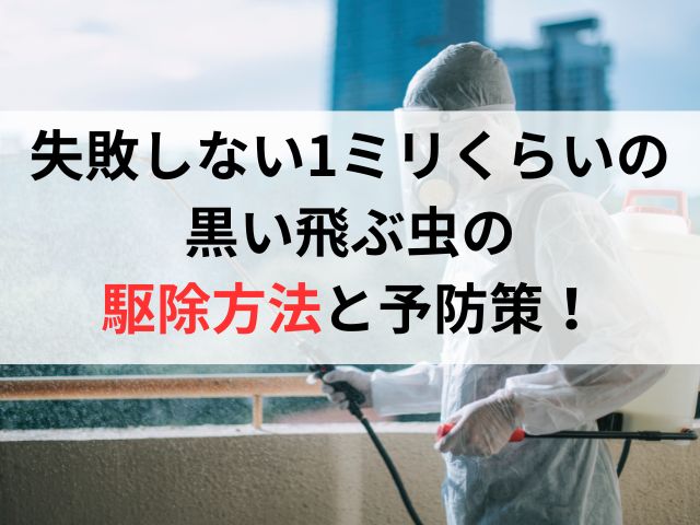 失敗しない1ミリくらいの黒い飛ぶ虫の駆除方法と予防策！