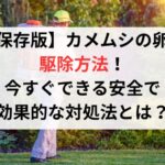 【保存版】カメムシの卵の駆除方法！今すぐできる安全で効果的な対処法とは？