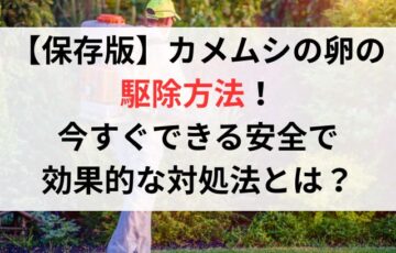 【保存版】カメムシの卵の駆除方法！今すぐできる安全で効果的な対処法とは？