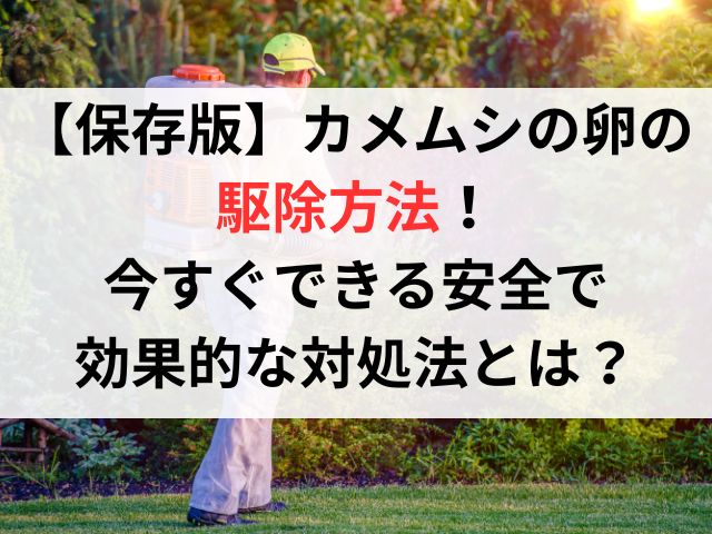 【保存版】カメムシの卵の駆除方法！今すぐできる安全で効果的な対処法とは？